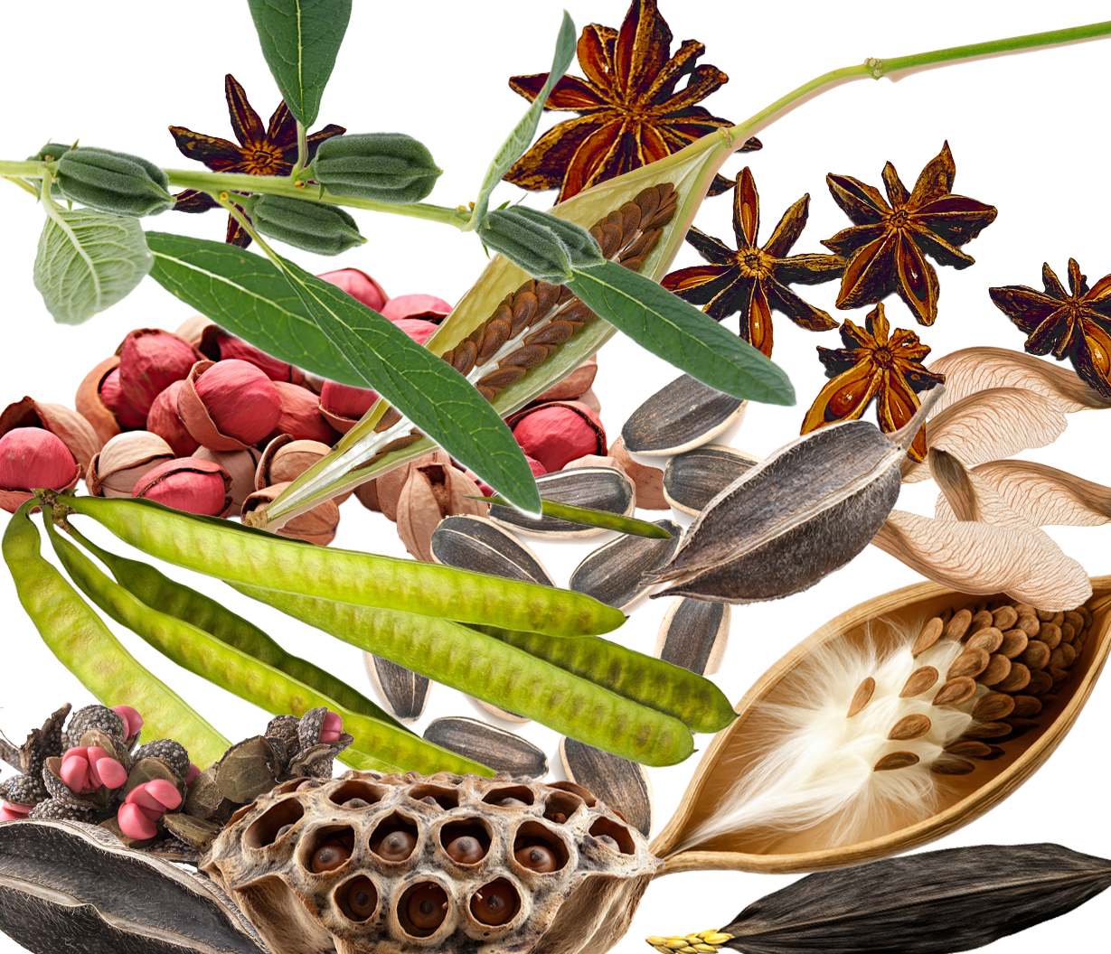 Seeds and Pods: Making Beads - Dec. 4 - 6, 2026