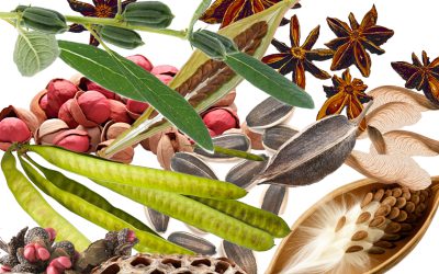 Workshops and Events for 2026!